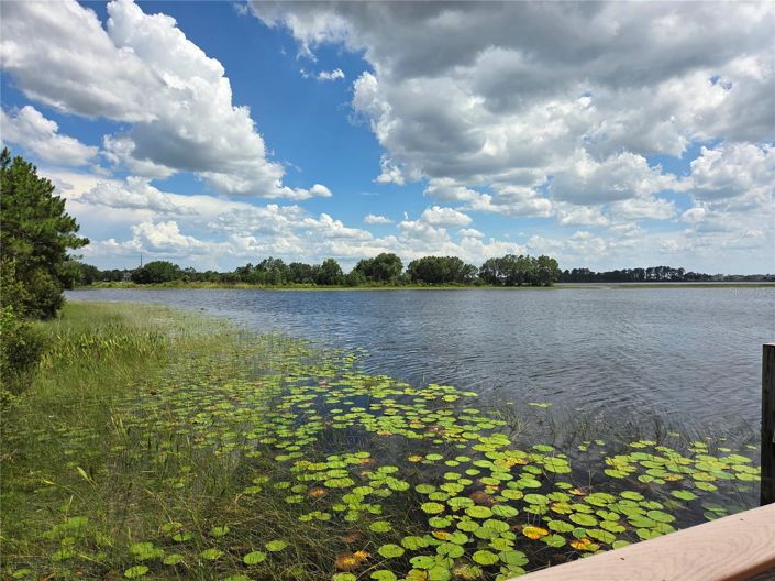 Image No.45-4 Bed House for sale