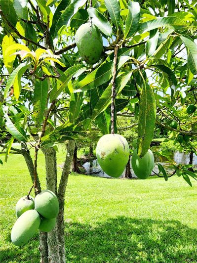 Image No.10-5 Bed House for sale