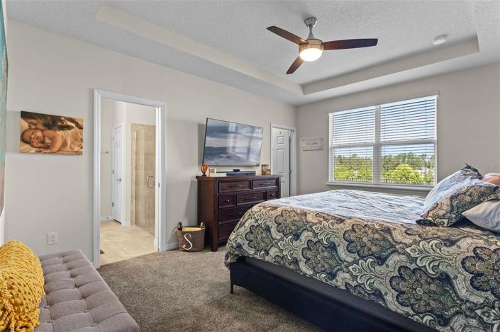 Image No.25-5 Bed House for sale