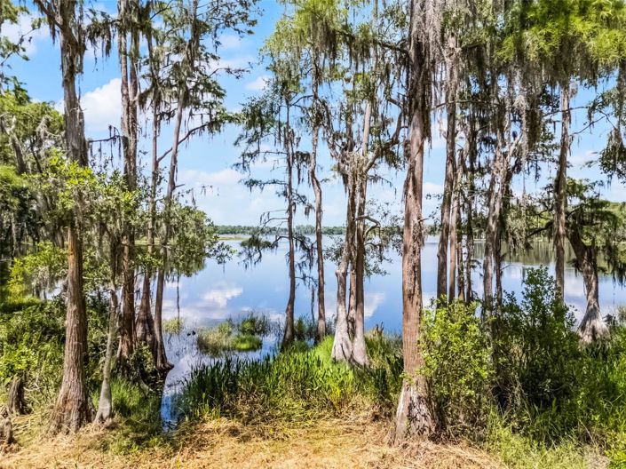 Image No.31-4 Bed House for sale