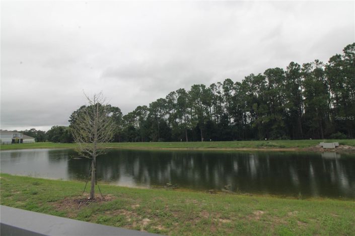 Image No.52-5 Bed House for sale