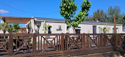 Willerby Waverley