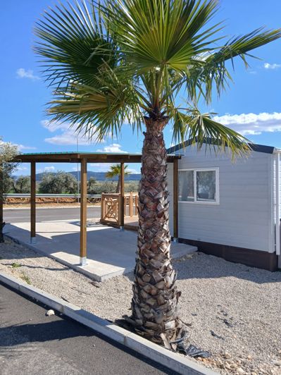 Image No.4-2 Bed Mobile Home for sale