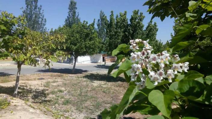 Image No.5-2 Bed Mobile Home for sale