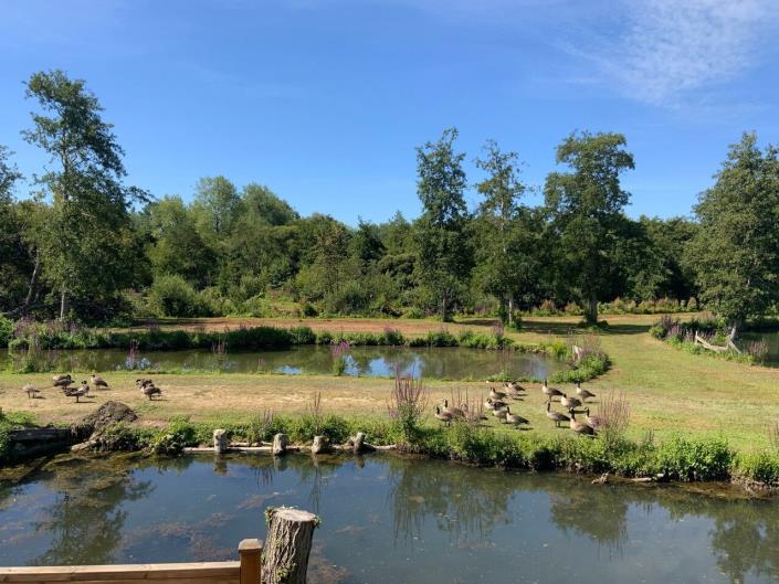 Image No.8-3 Bed Mobile Home for sale