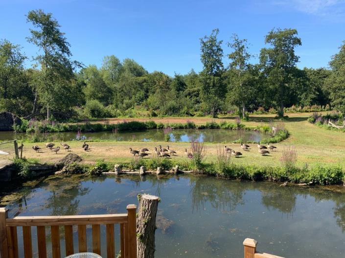 Image No.7-3 Bed Mobile Home for sale