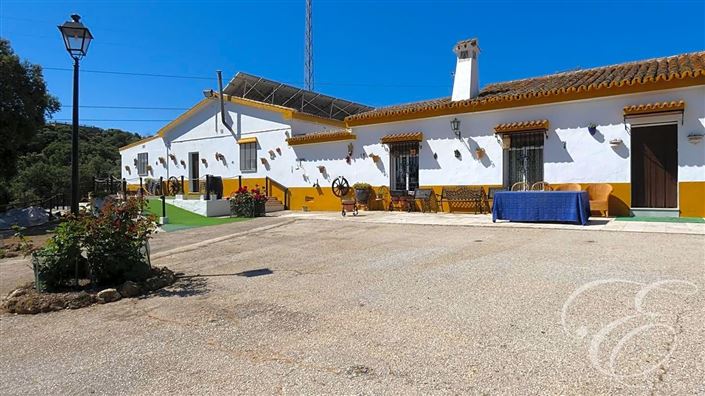 Image No.1-11 Bed Property for sale