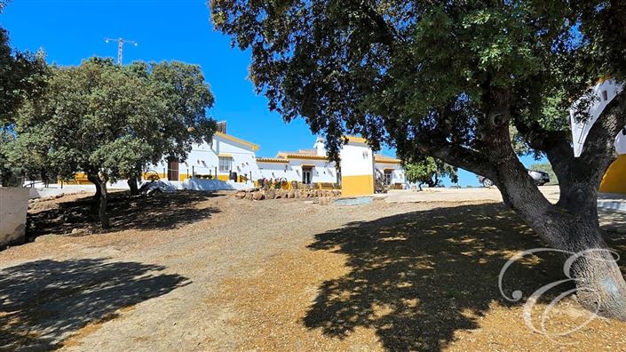 Image No.3-11 Bed Property for sale