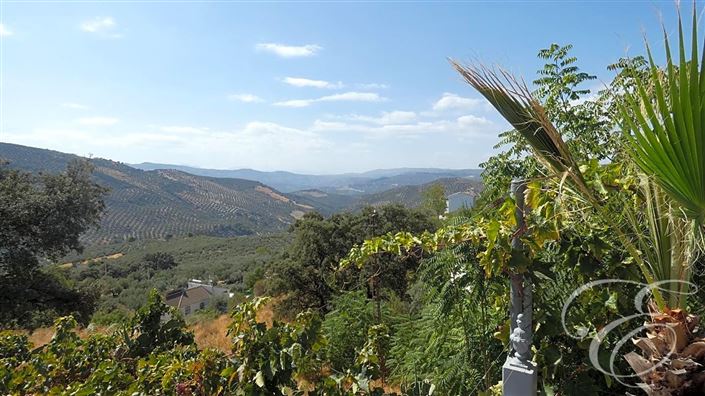 Image No.4-6 Bed Property for sale