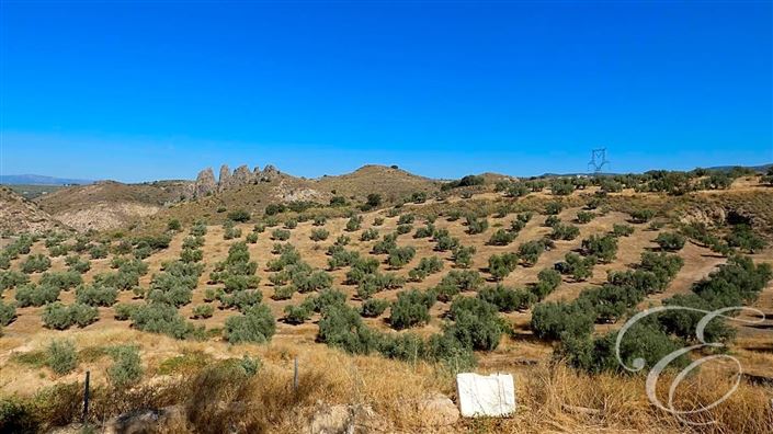 Image No.20-4 Bed Property for sale