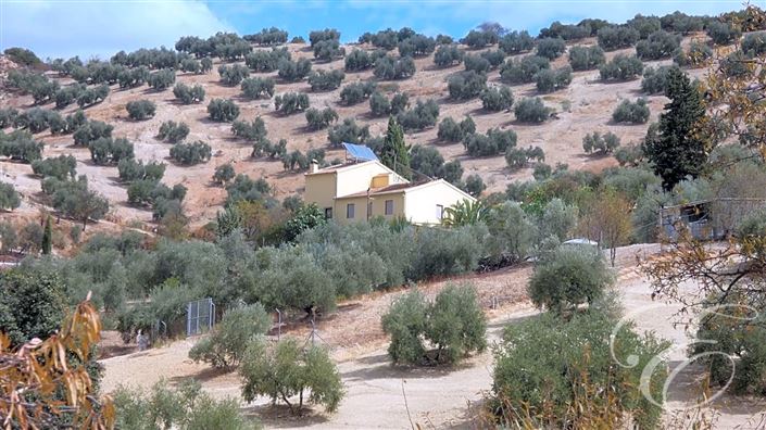 Image No.26-6 Bed Property for sale