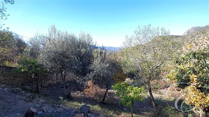 Image No.14-2 Bed Property for sale