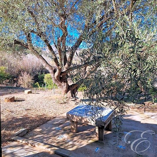 Image No.19-3 Bed Property for sale