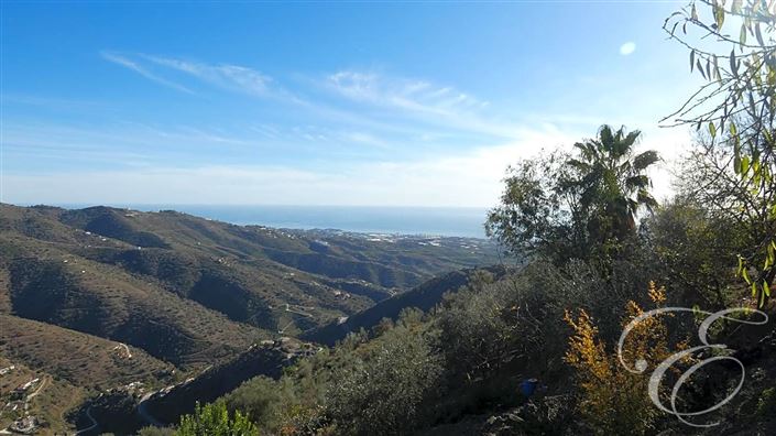 Image No.4-4 Bed Property for sale