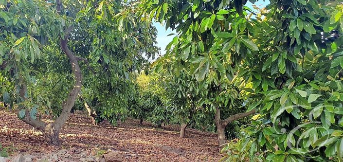 Image No.14-2 Bed Property for sale