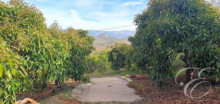 Image No.15-2 Bed Property for sale