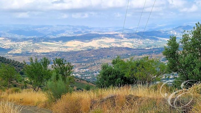 Image No.3-4 Bed Property for sale