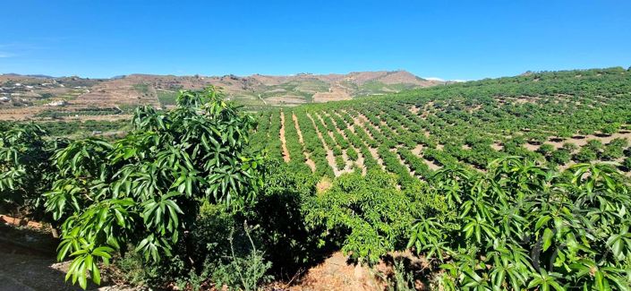 Image No.31-5 Bed Property for sale