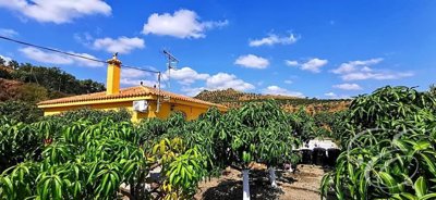 3 Bed Property for sale