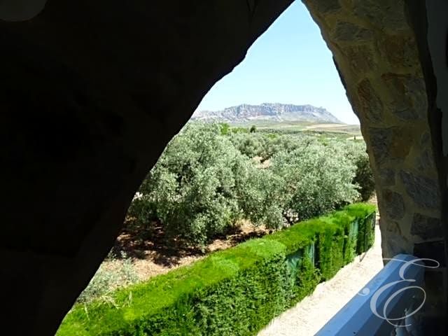 Image No.20-4 Bed Property for sale