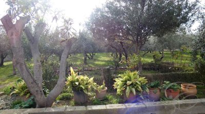 a6f34d0a-0004120671