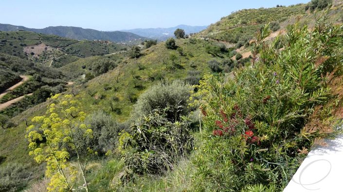 Image No.19-5 Bed Property for sale