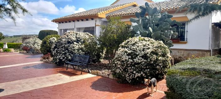 Image No.14-3 Bed Property for sale