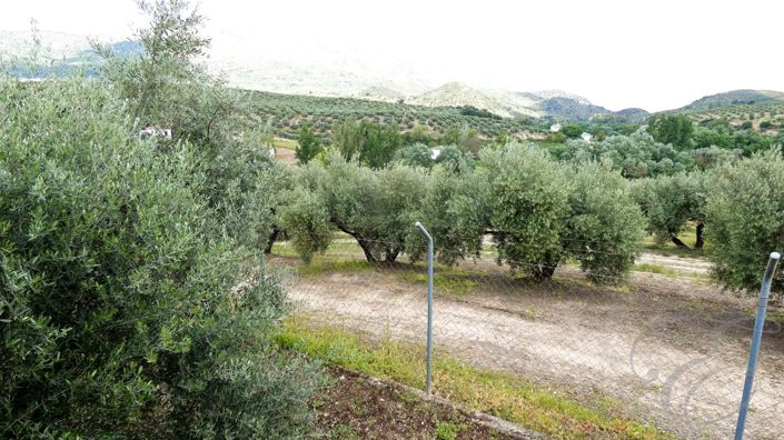 Image No.24-3 Bed Property for sale