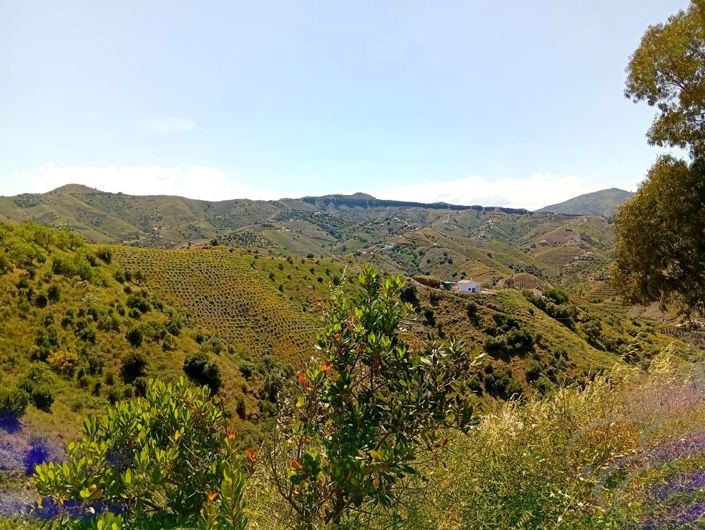 Image No.7-2 Bed Property for sale