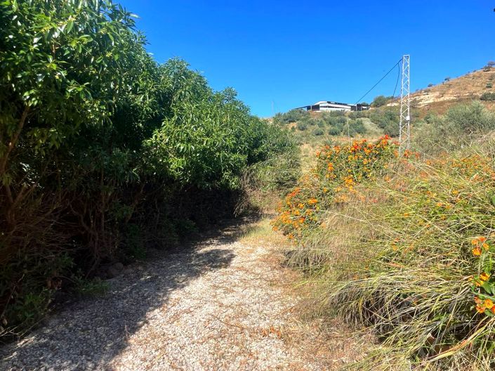 Image No.11-3 Bed Property for sale