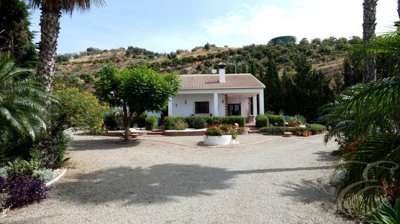 3b442aa8-0004156547