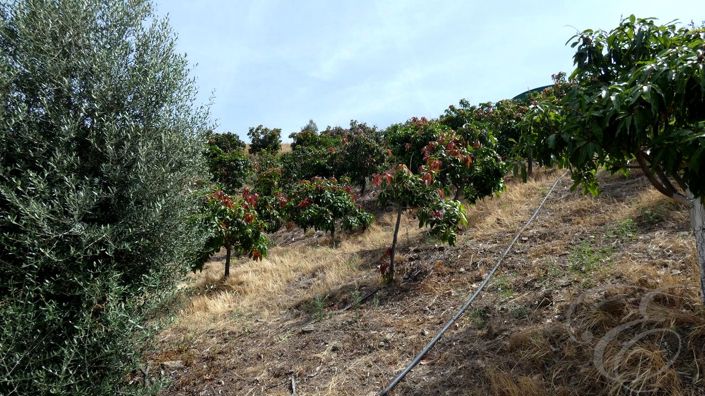 Image No.24-3 Bed Property for sale