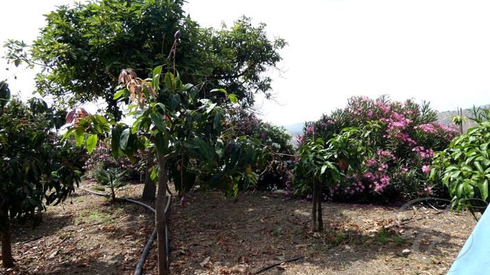 Image No.27-3 Bed Property for sale