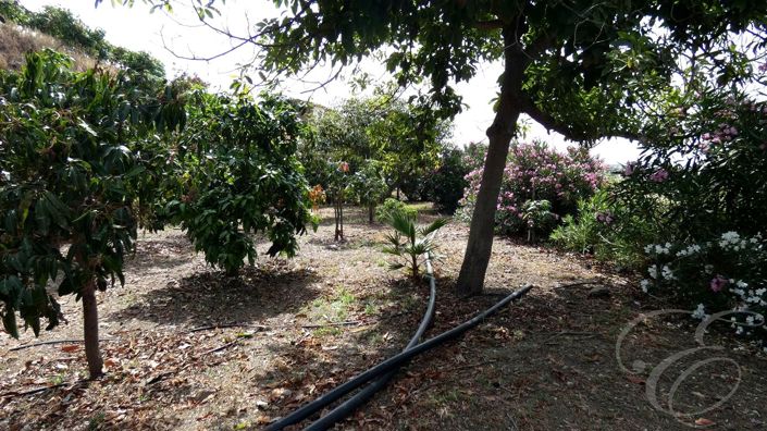 Image No.28-3 Bed Property for sale