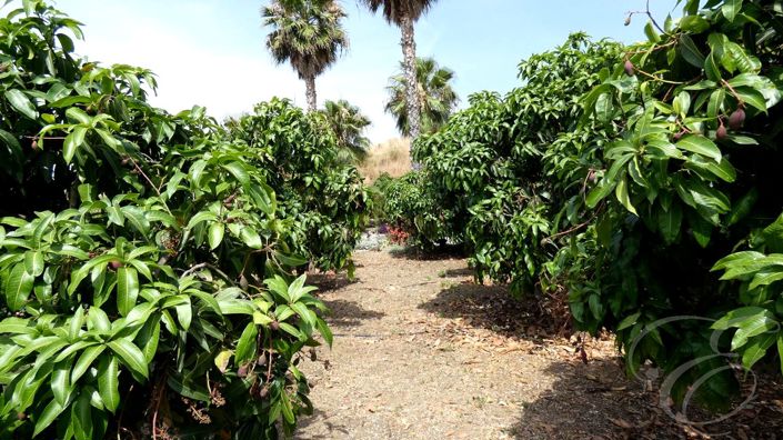 Image No.29-3 Bed Property for sale