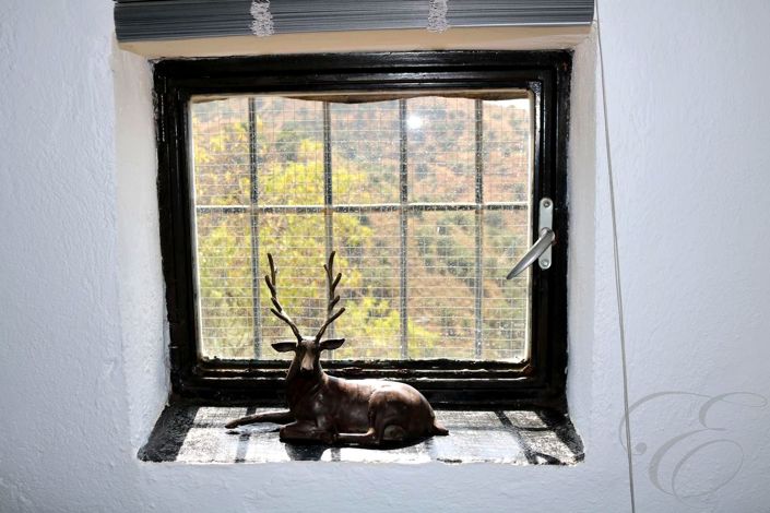 Image No.12-5 Bed Property for sale