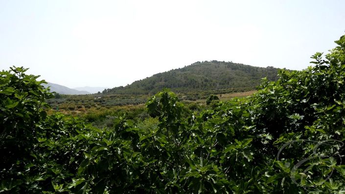 Image No.3-4 Bed Property for sale