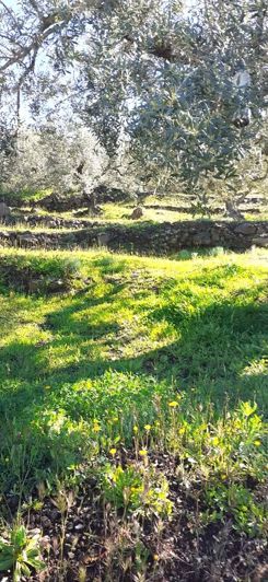 Image No.3-2 Bed Property for sale