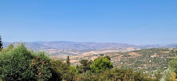 Image No.3-2 Bed Property for sale