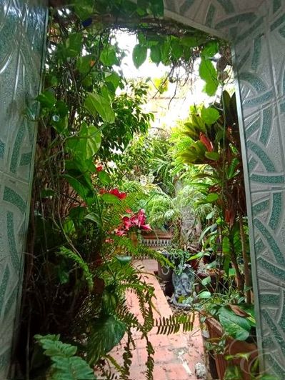 Image No.13-4 Bed Property for sale