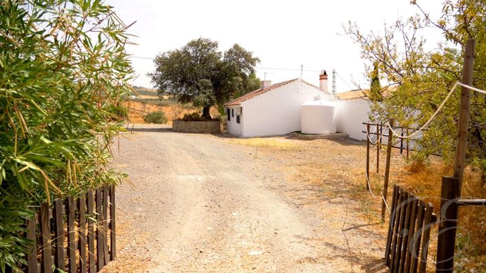 Image No.21-2 Bed Property for sale