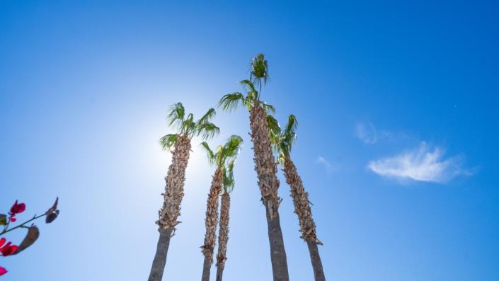 Image No.5-3 Bed Villa for sale