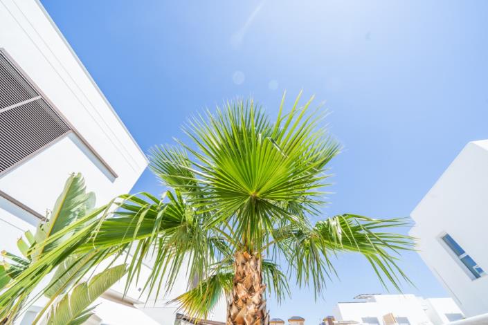 Image No.43-3 Bed Villa for sale