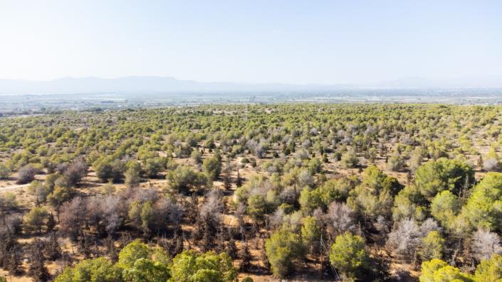 Image No.26-3 Bed Townhouse for sale