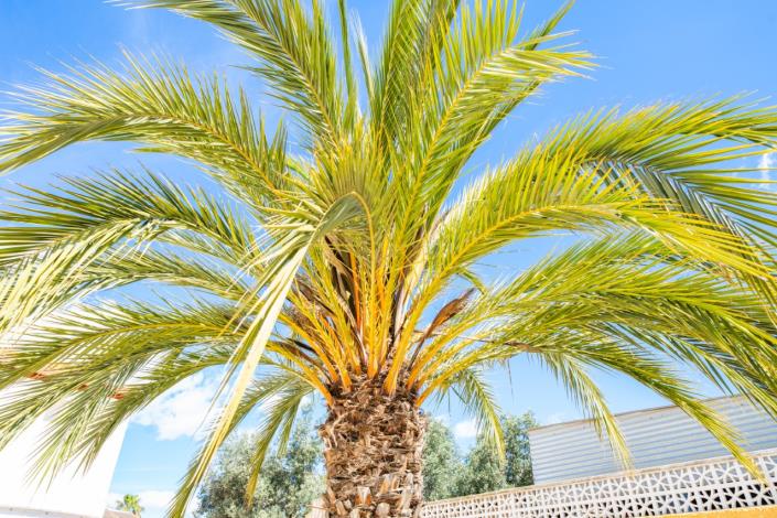 Image No.26-4 Bed Villa for sale