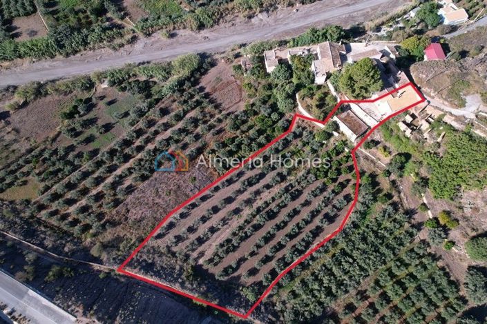 Image No.3-6 Bed Country House for sale