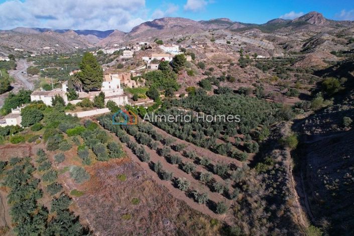 Image No.7-6 Bed Country House for sale