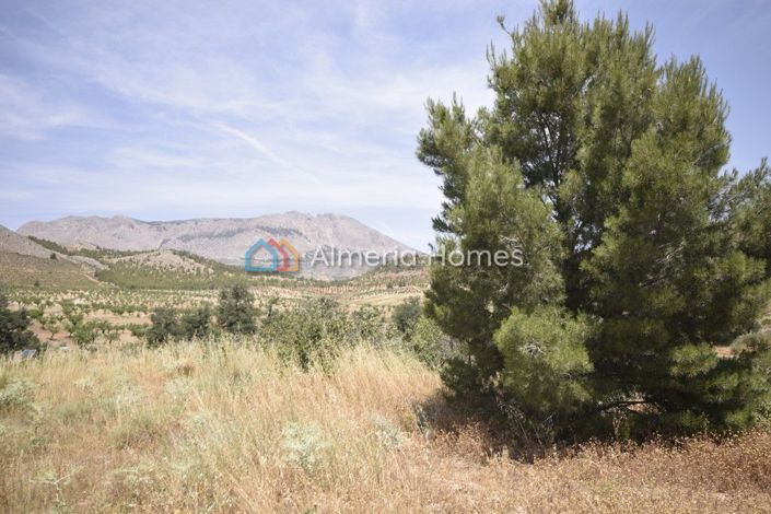 Image No.2-10 Bed Country House for sale