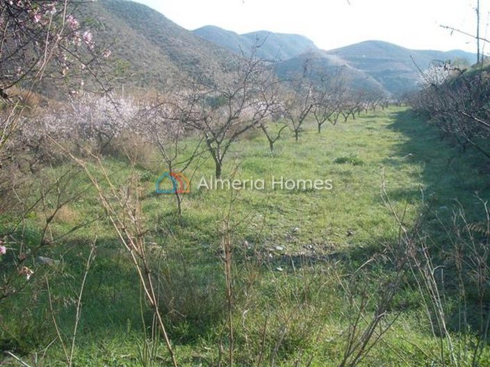 Image No.11-4 Bed Country House for sale