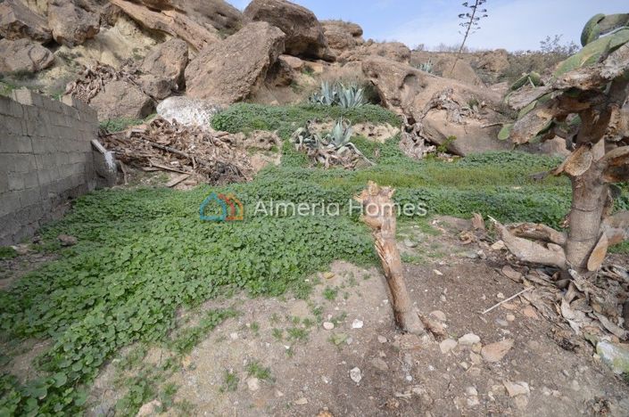 Image No.13-4 Bed Townhouse for sale